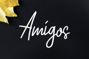 Amigos Font Review: Modern Script for Small Business Branding