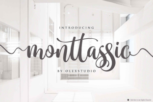 Monttassic Script Font for Modern Campaign Design