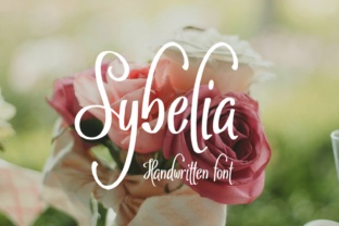 Sybelia Font: Elegant Script for Branding & Design