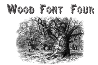 Wood Font Four: A Display Typeface for Nature Web Design